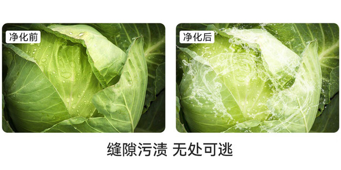 水触媒洗菜机 水触媒洗菜机